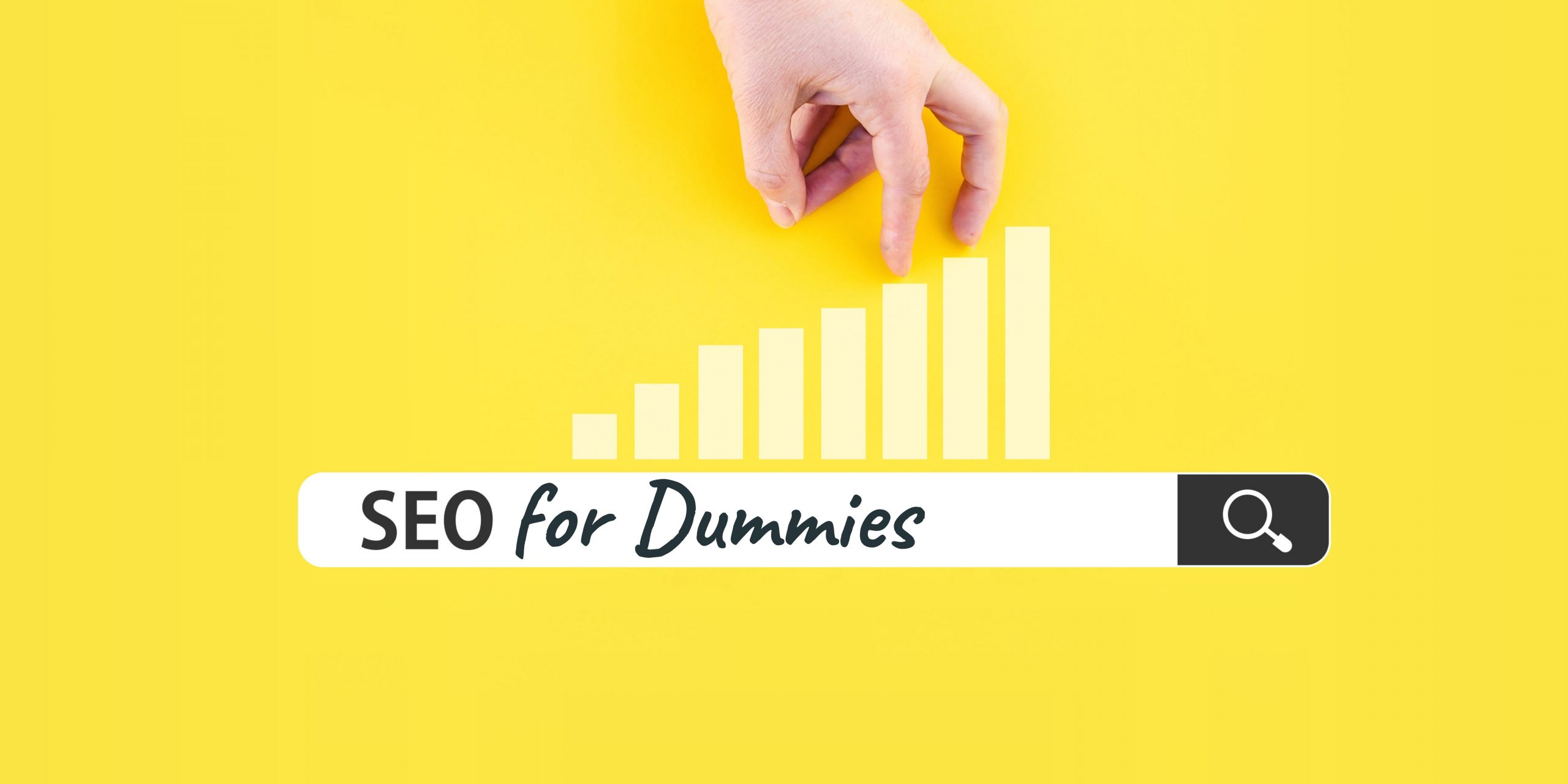 SEO for Dummies: Learn the Basics of Search Engine Optimization